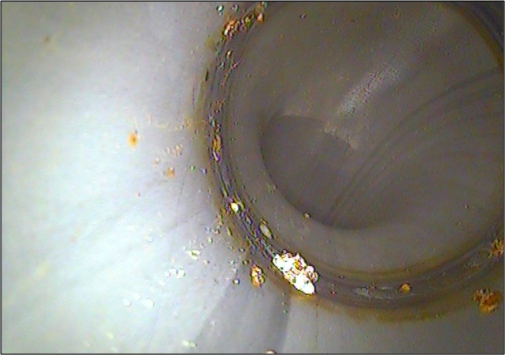 Microbial Induced Corrosion 1 | Failure Mechanism | SureScreen Materials