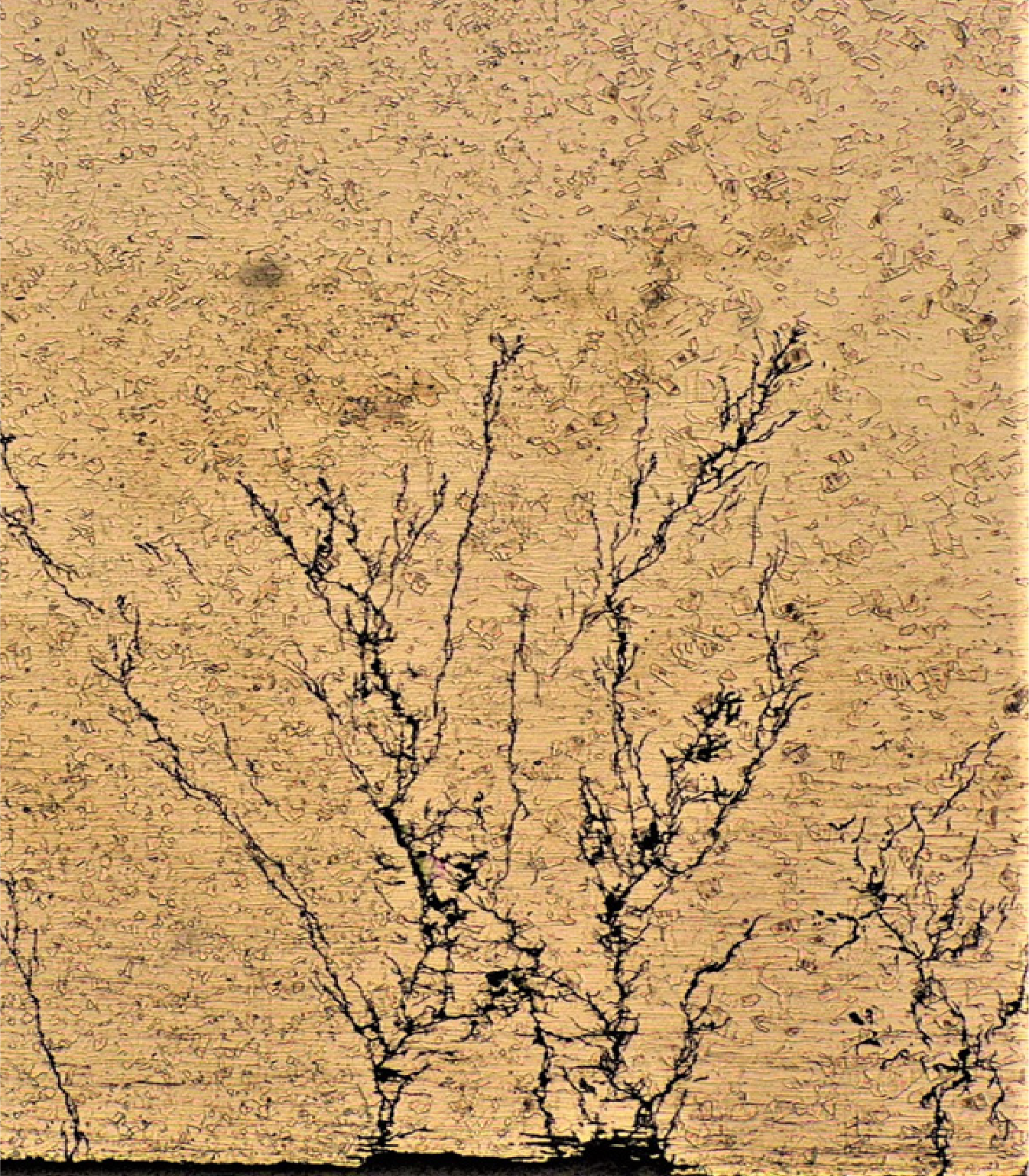 Stress corrosion cracking | example 1