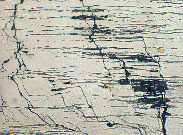 SCC of stainless steel. Image showing elongated pools of delta ferrite in an austenite matrix, with SCC cracks and corrosion attack around some of the ferrite stringers x500
