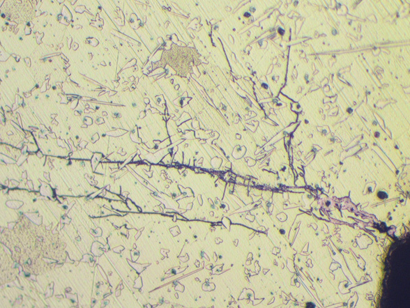Section through the brass component shown in the image above showing the highly branched cracks x500 Mag